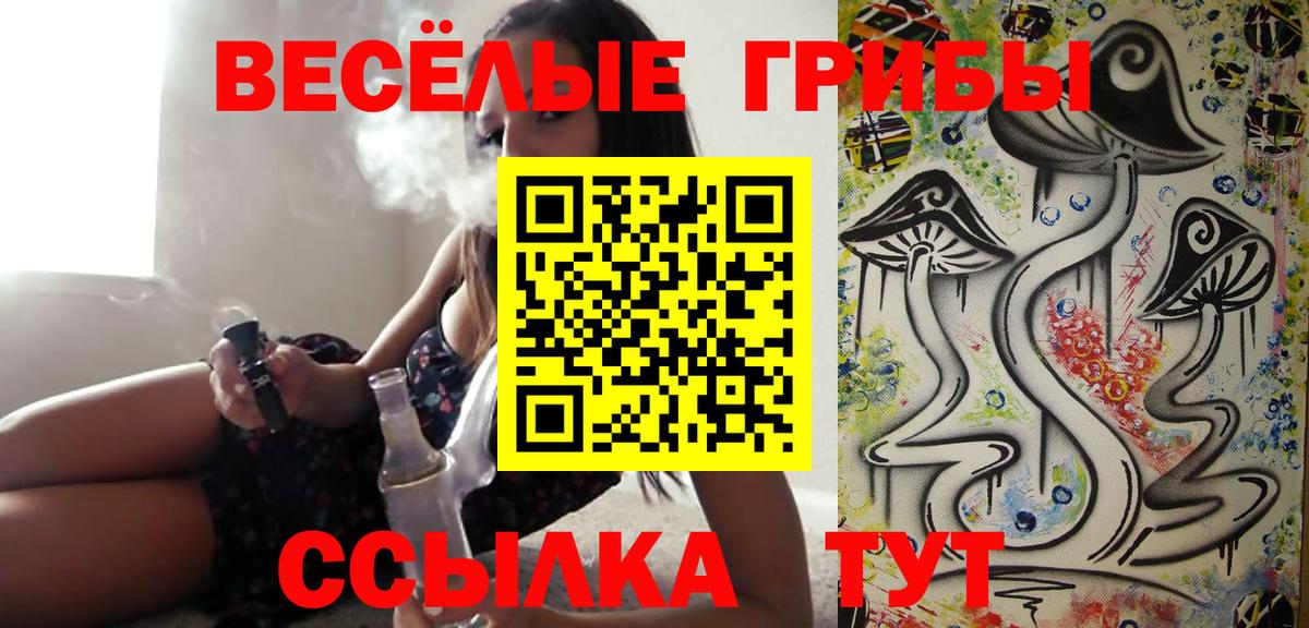 цена   Галлюциногенные грибы Magic Shrooms  Изобильный  Вход с VPN  Псилоцибиновые грибы мицелий 